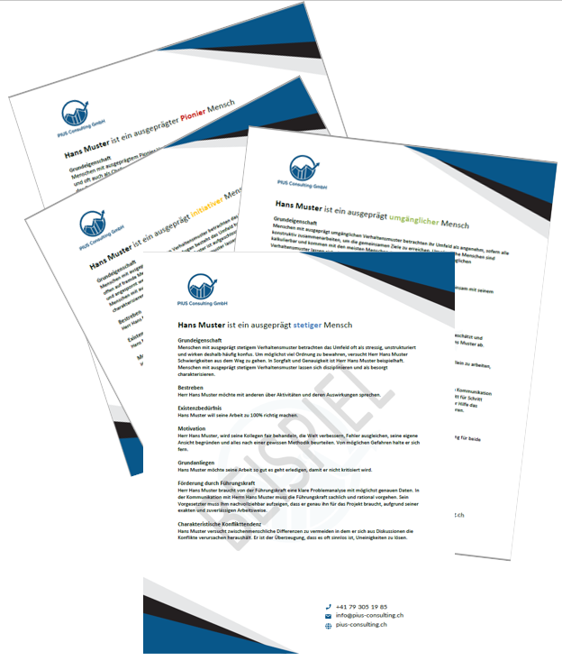 PIUS Assessment CV Light Version